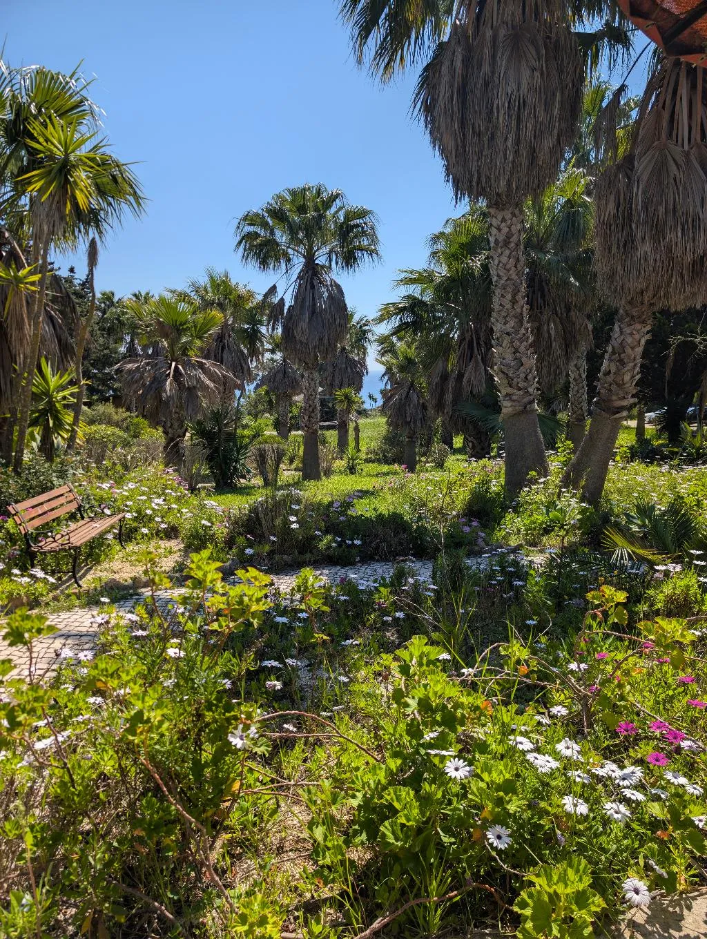 STUDIO CLASSIC Room, Quinta do Mar Country & Sea Village, Algarve