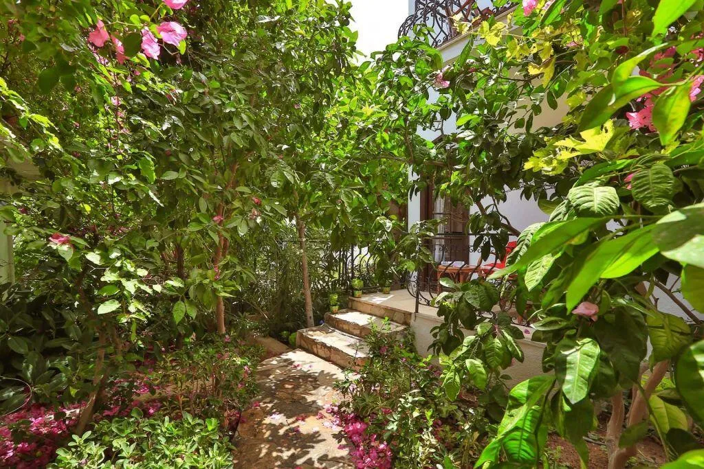 General view, Mare Garden Hotel, Bodrum
