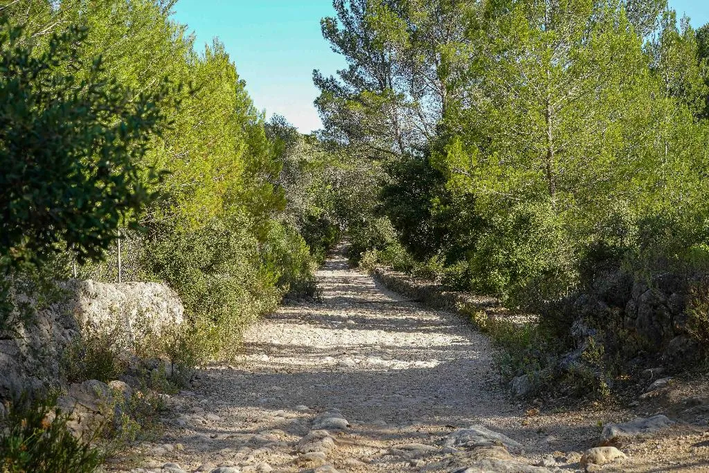 Sports and Entertainment, Hotel Rural S'Olivaret, Majorca