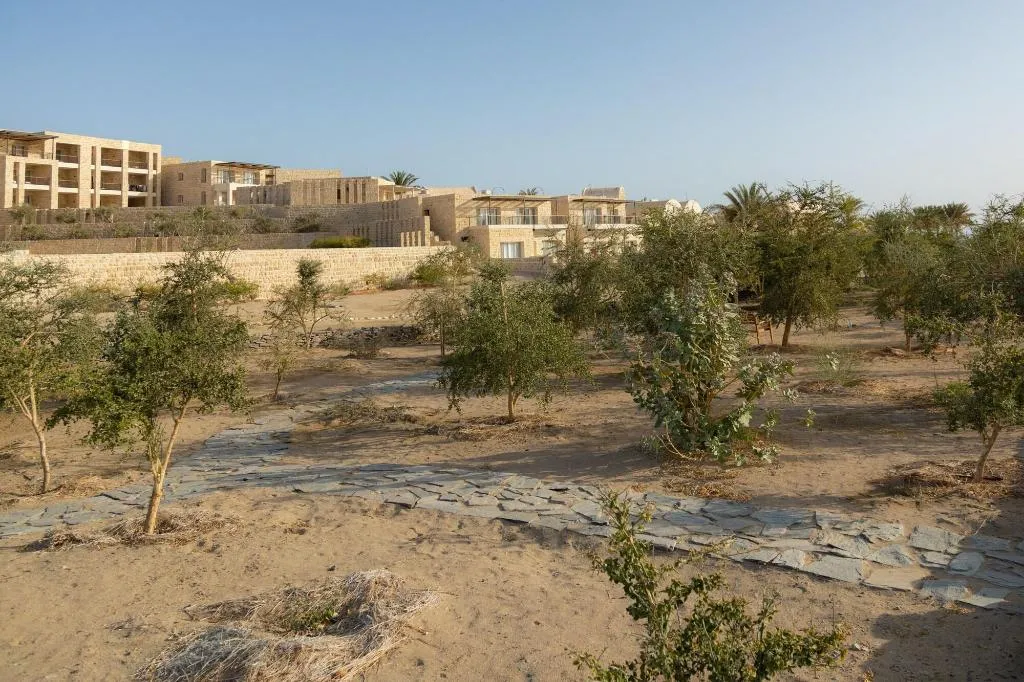 General view, Wadi Sabarah Lodge, Red Sea Riviera