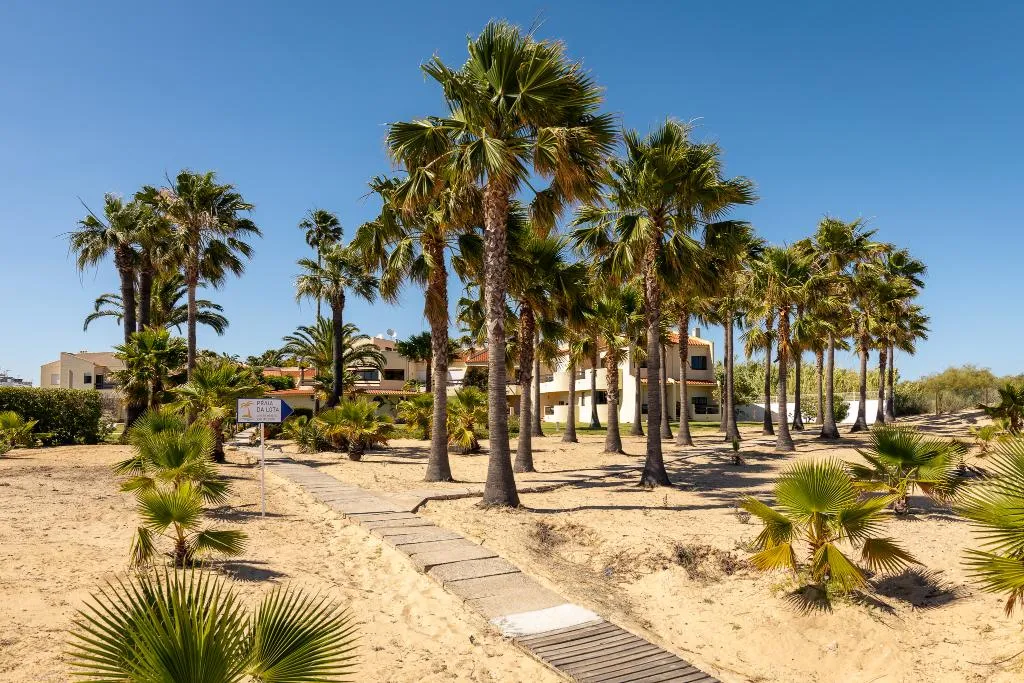 General view, Praia da Lota Resort, Algarve