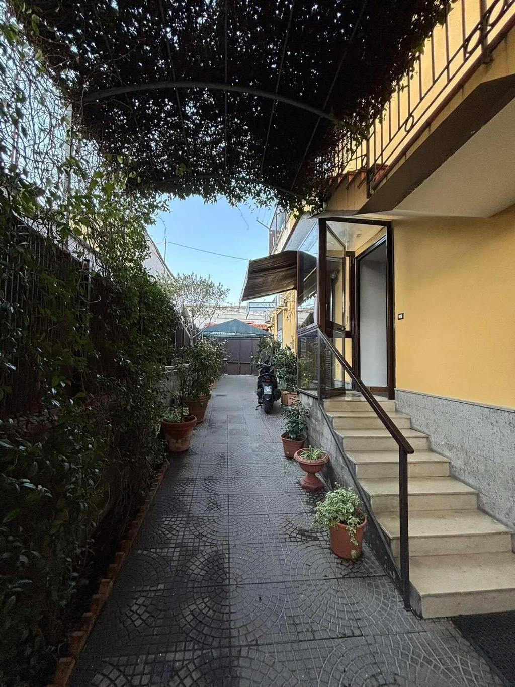 Room, Home To Fly, Naples