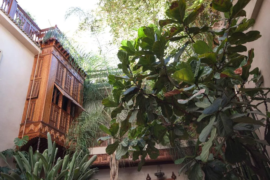 General view, Riad Flam, Marrakech