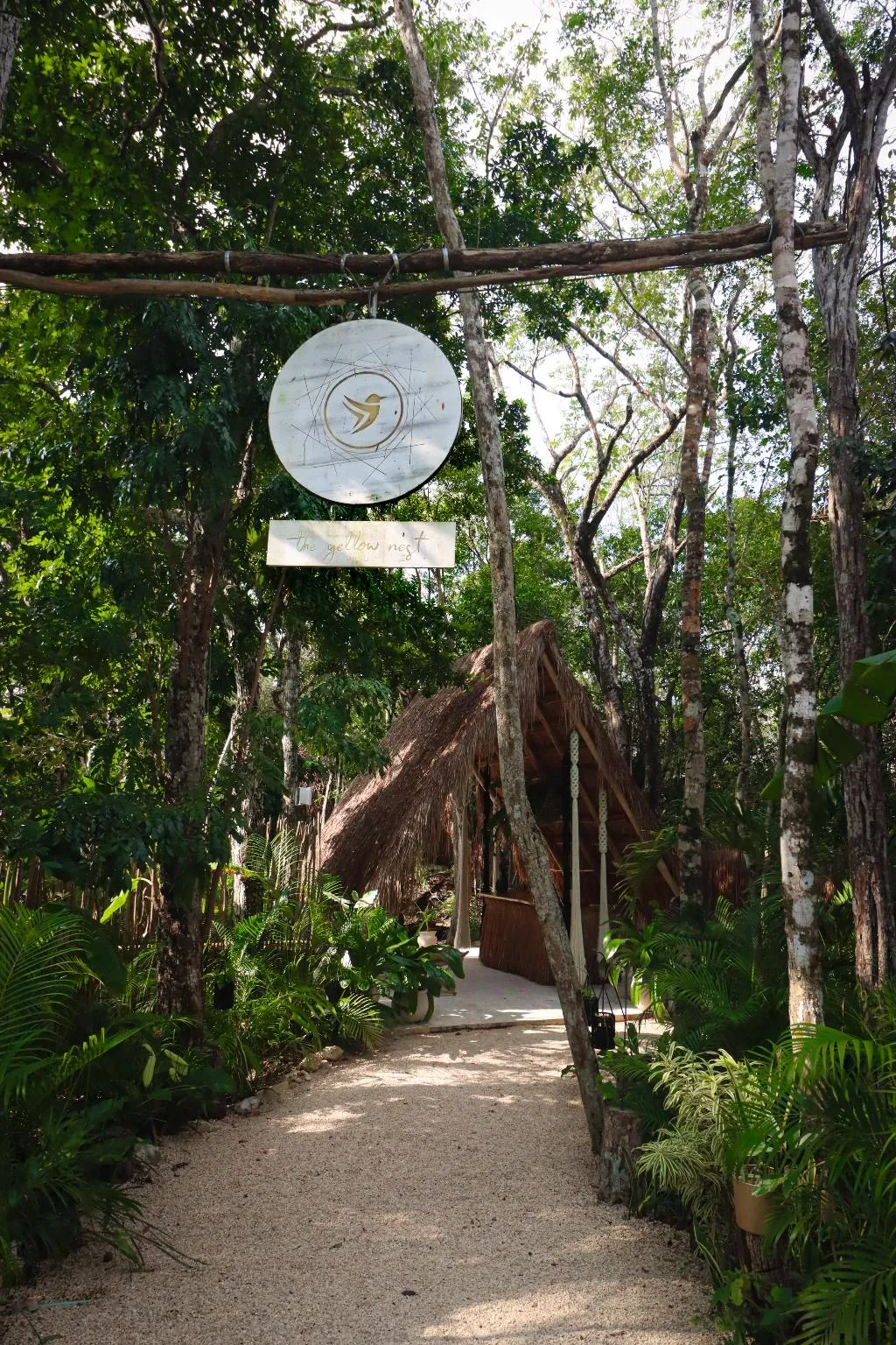 General view, The Yellow Nest, Cancun Area