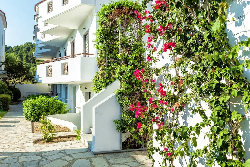Terrace, Xenios Dolphin Beach Hotel, Halkidiki