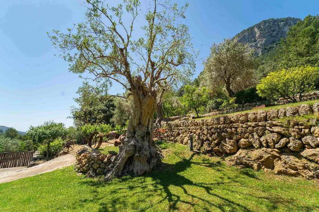 General view, Hotel Rural S'Olivaret, Majorca