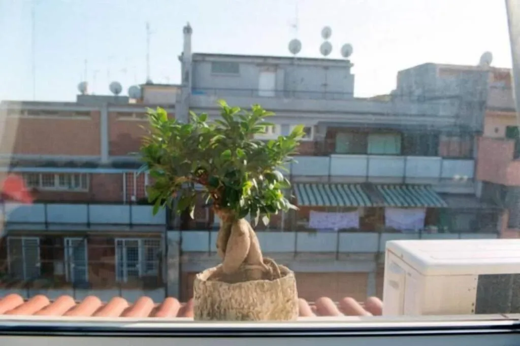 General view, Letto E Latte, Naples