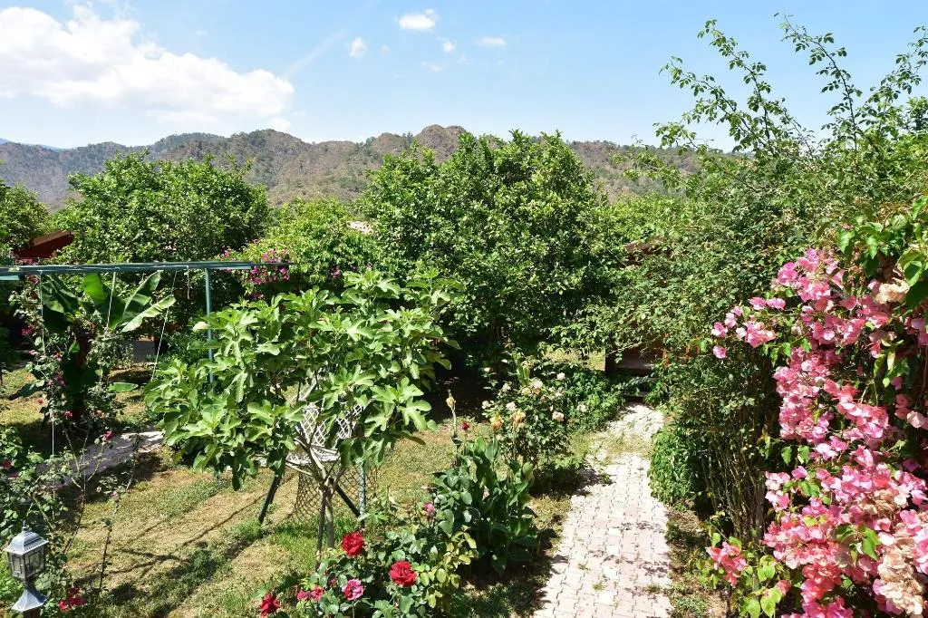 General view, Lemon Garden Lodge, Antalya