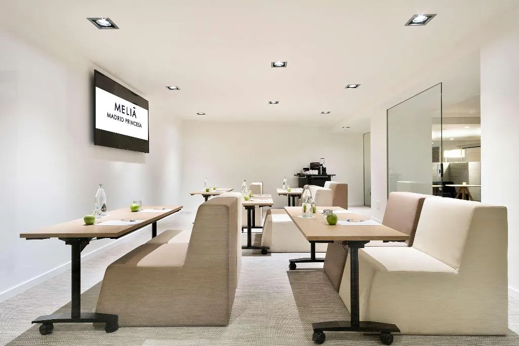 Conferences, Melia Madrid Princesa, Madrid