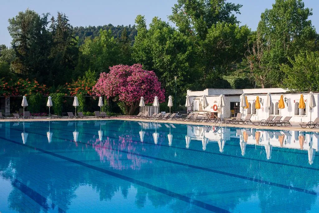 Pool, Athos Palace Hotel, Halkidiki