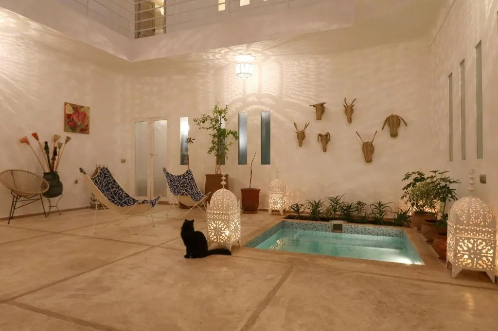 General view, Riad Z, Marrakech