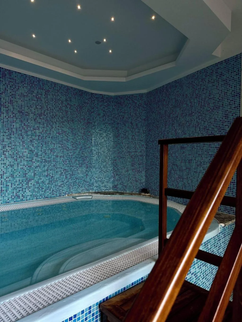 Pool, Villa Miramar, Split