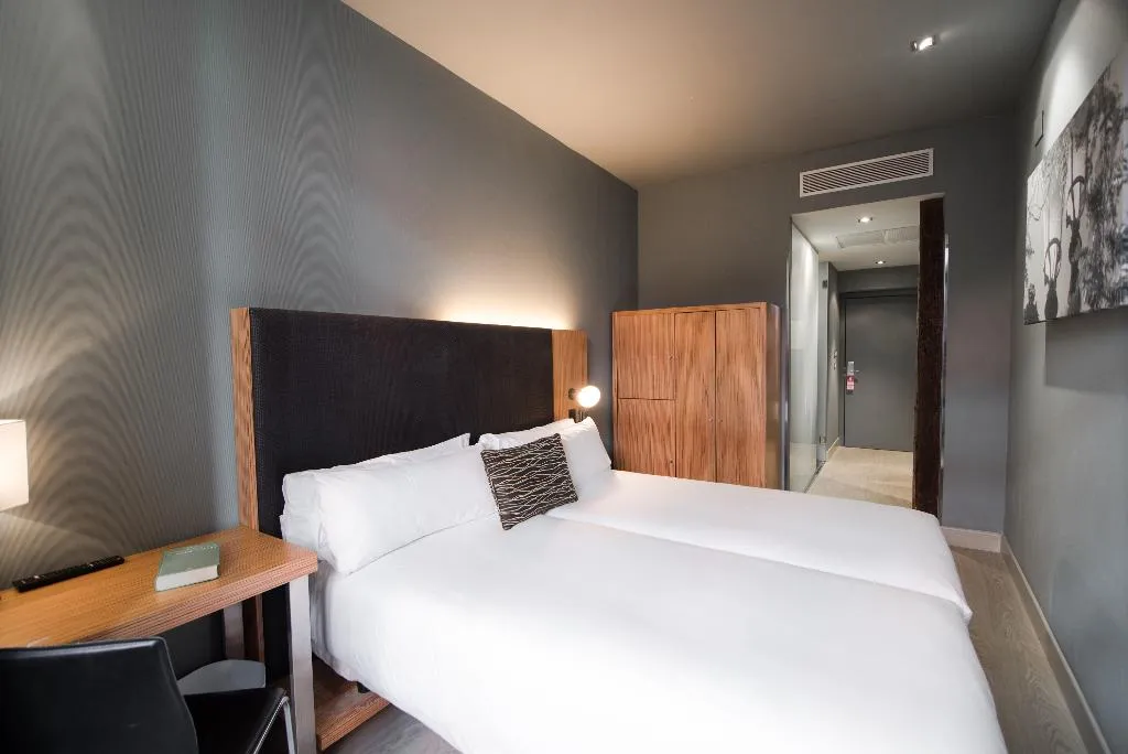 DOUBLE STANDARD Room, Petit Palace Tres Cruces Spain, Madrid