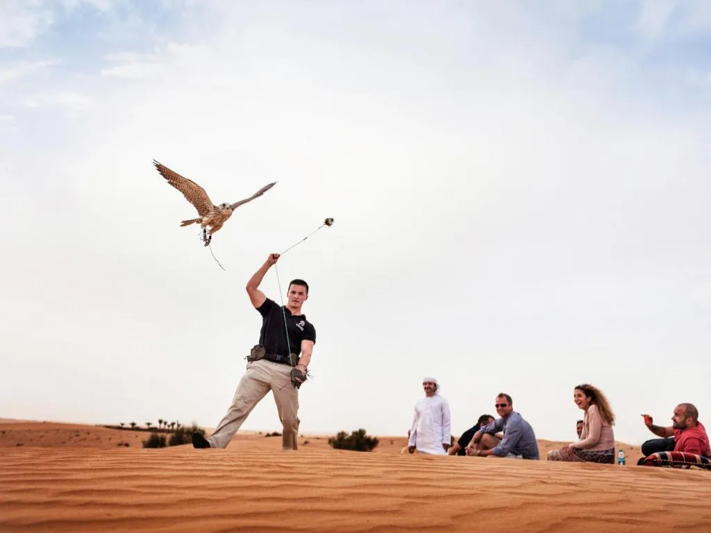 Sports and Entertainment, Adagio Premium Dubai Al Barsha, Dubai