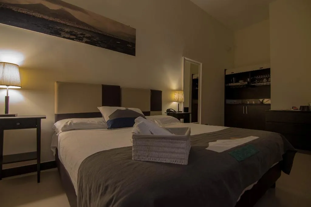 DOUBLE SINGLE USE STANDARD Room, Hotel Plebiscito Aparthotel, Naples