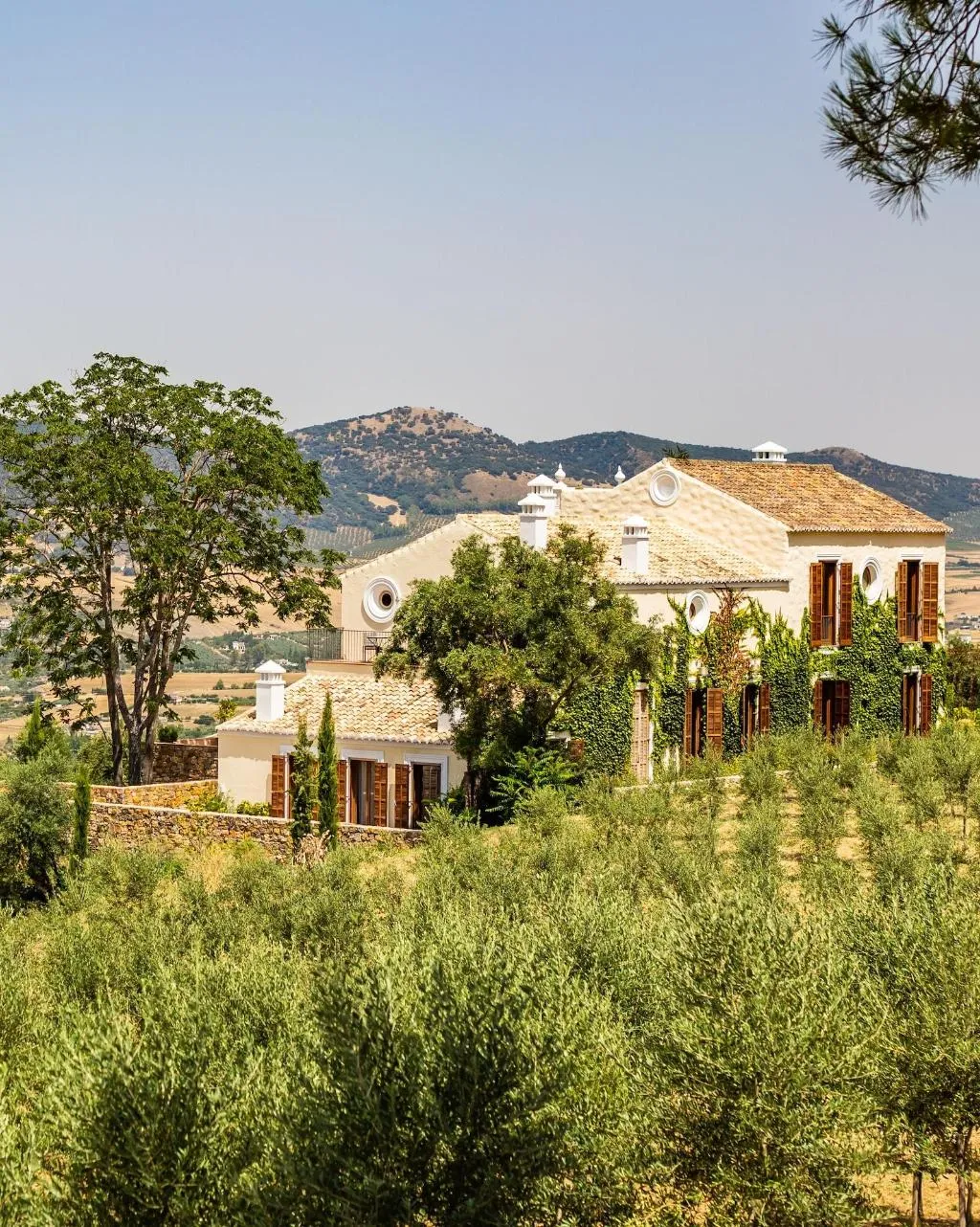 General view, Cortijo La Organic, Costa Del Sol