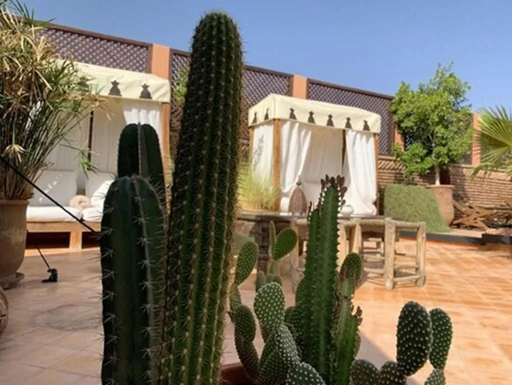Terrace, Riad Palacio De Las Especias, Marrakech