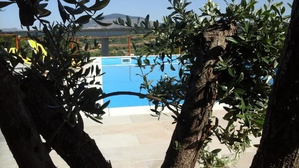 Sports and Entertainment, B&B Pelagos, Palermo