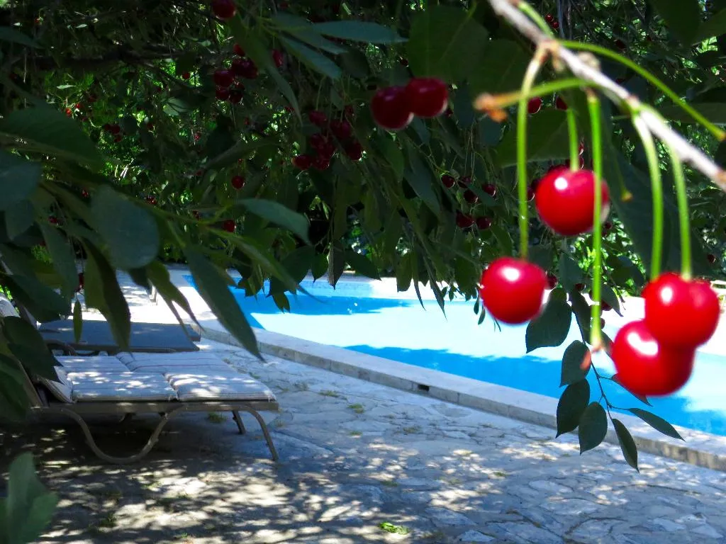 Pool, Kalehan, Izmir