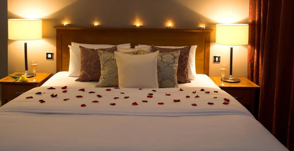 Room, Ferrycarrig, Dublin