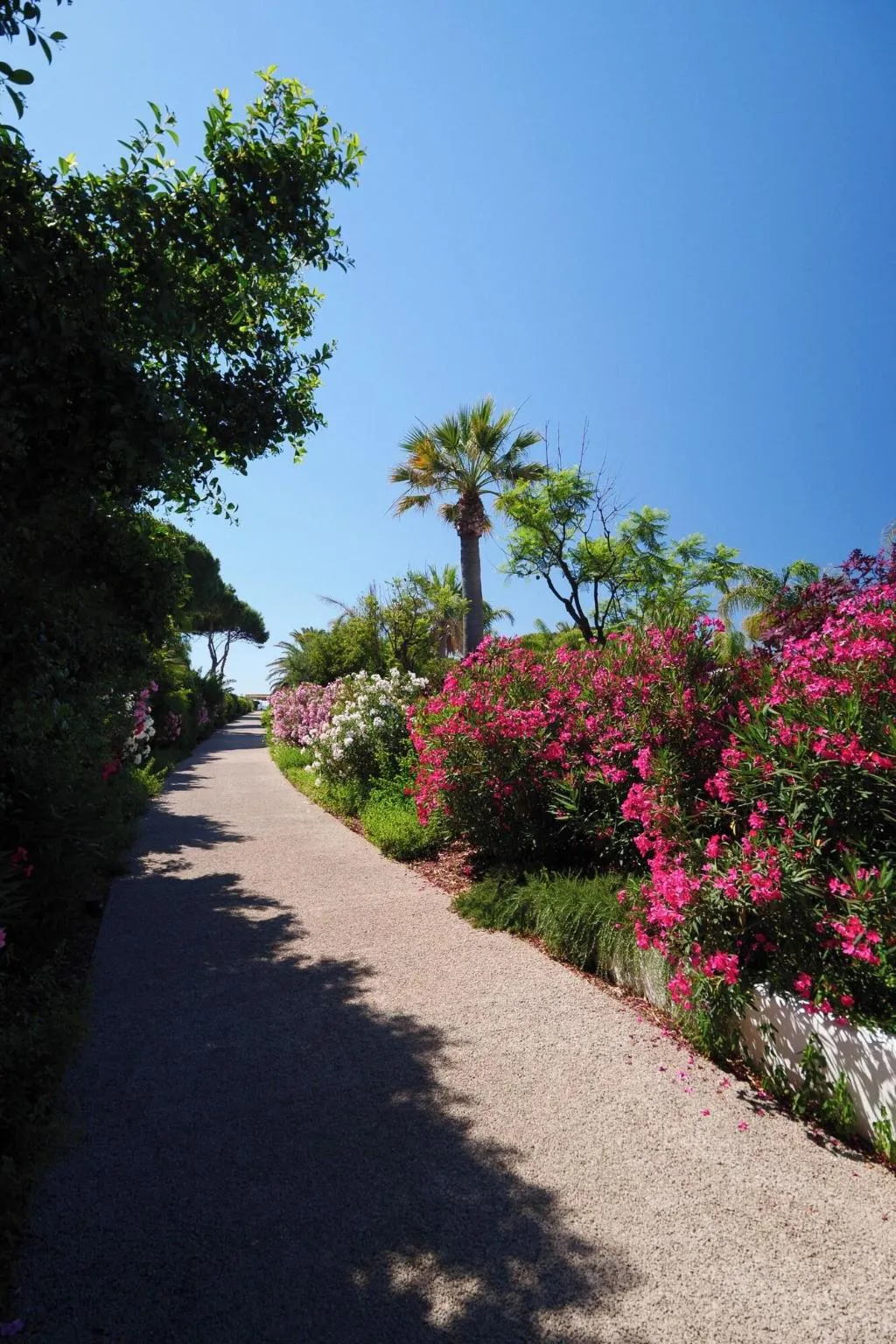 General view, Sant Efis, Cagliari