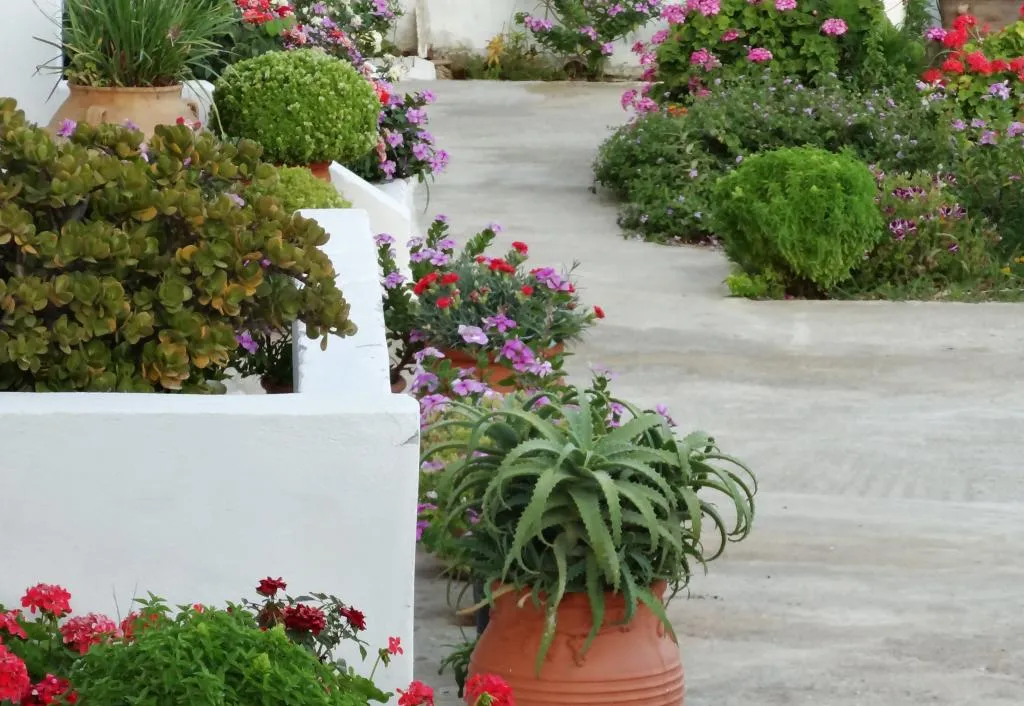Terrace, Emilia Apartments, Crete