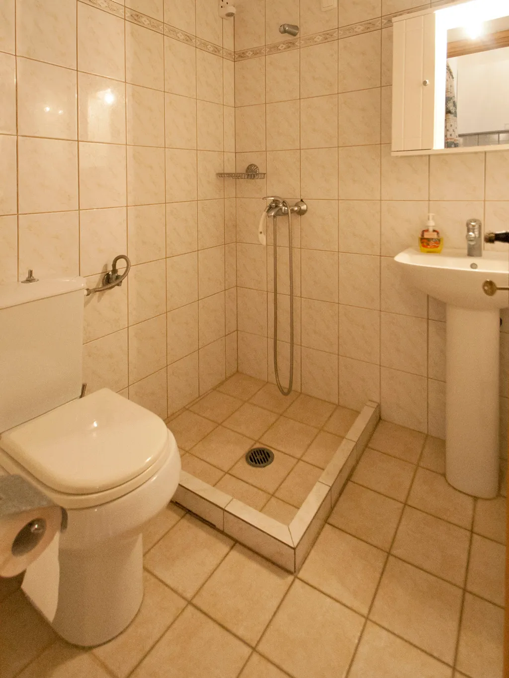 Double or Twin STANDARD Room, Pension Laura, Skiathos