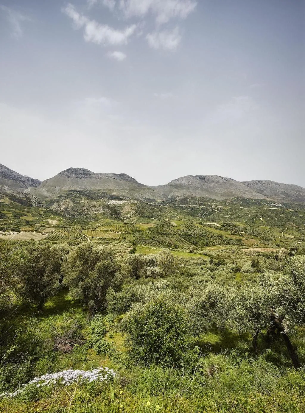 Room, Earino, Crete