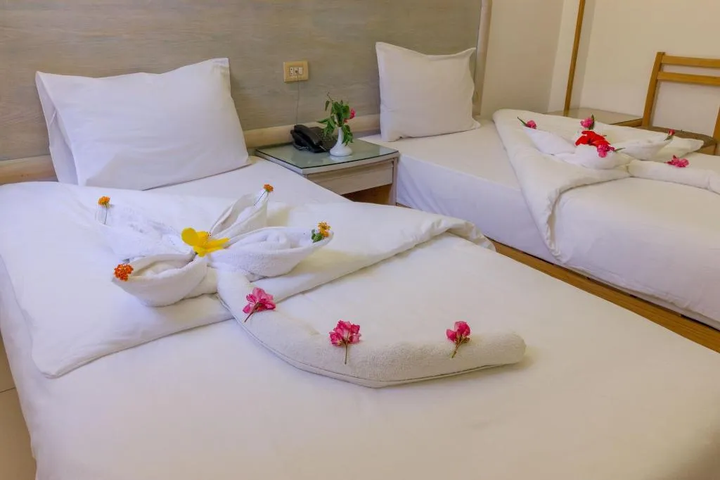 Room, Acacia Dahab Hotel, Red Sea Riviera