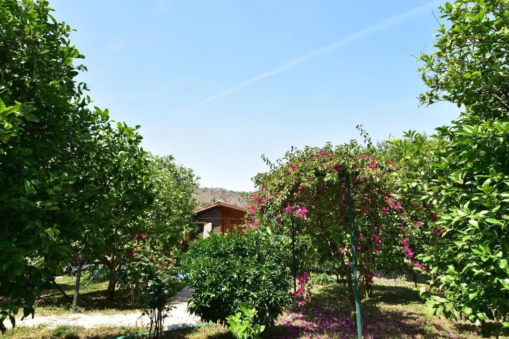 General view, Lemon Garden Lodge, Antalya
