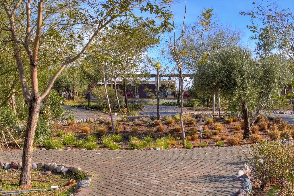 General view, The Ranch, Marrakech