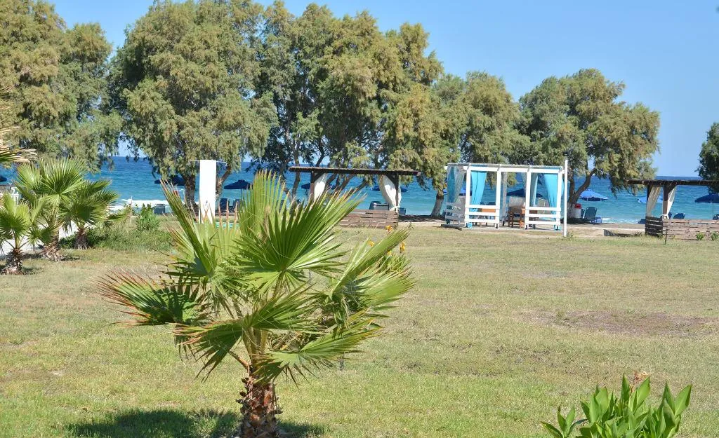 Terrace, Costa Angela, Kos