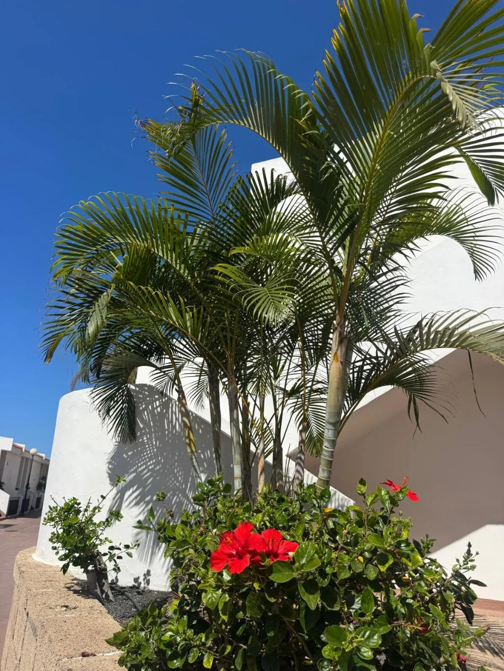 Lobby, Malibu Park, Tenerife