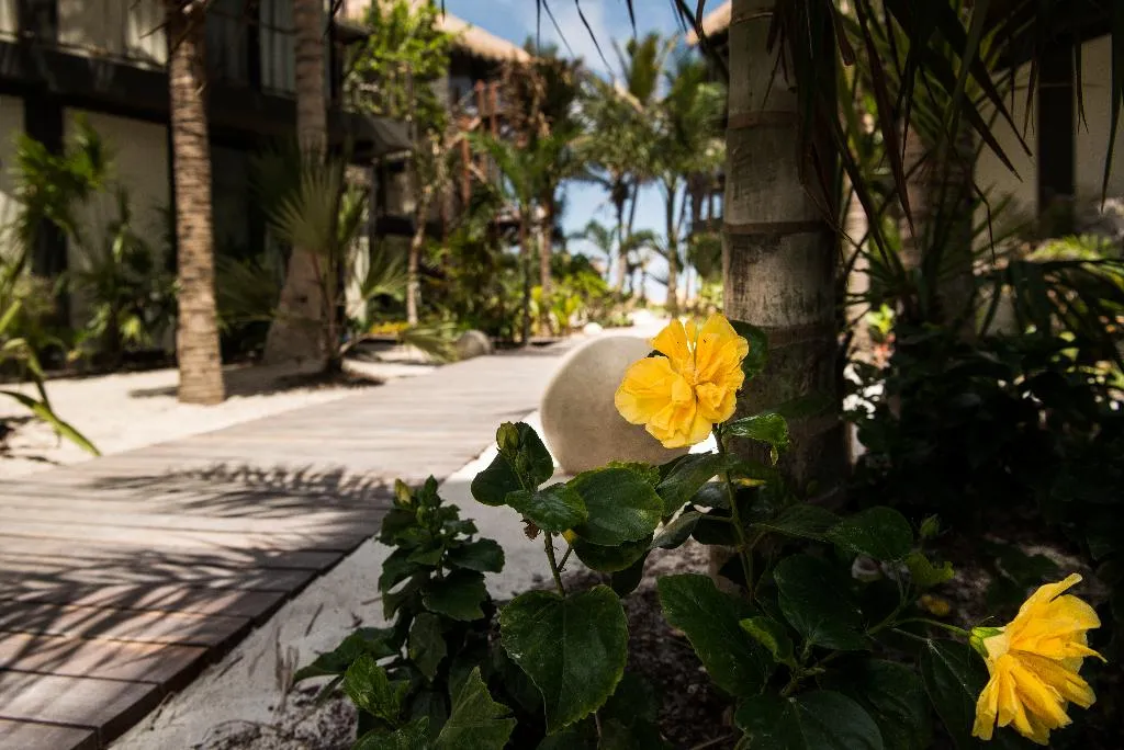 General view, Tata Tulum, Cancun Area