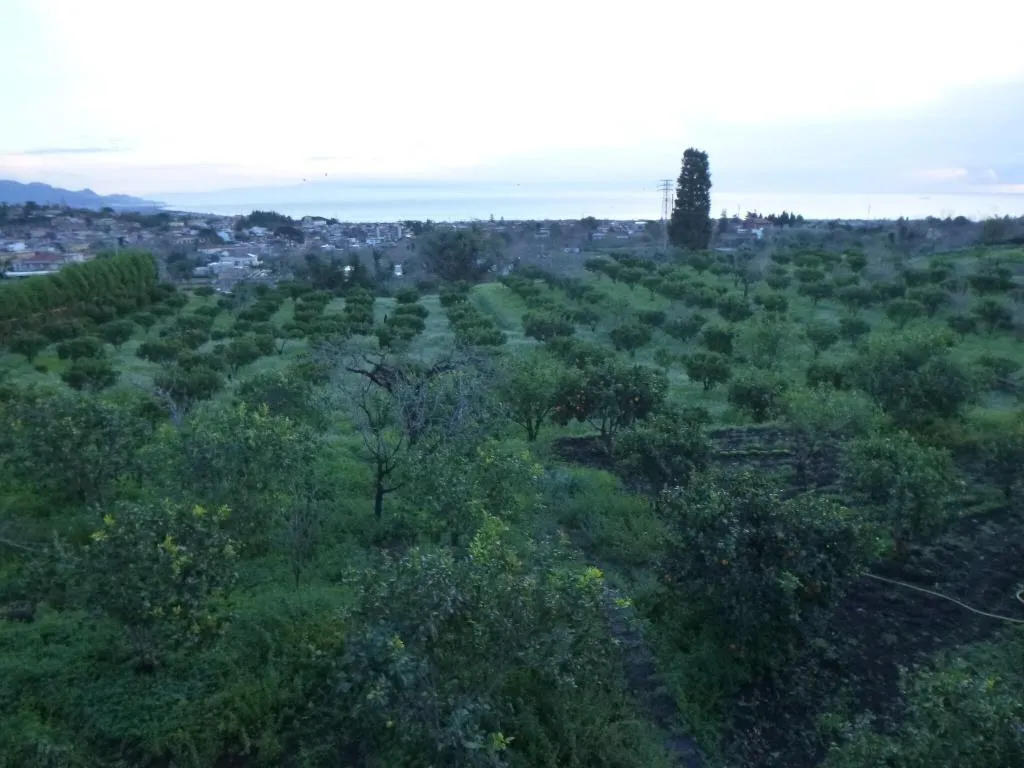 General view, Baglio delle Rose, Catania