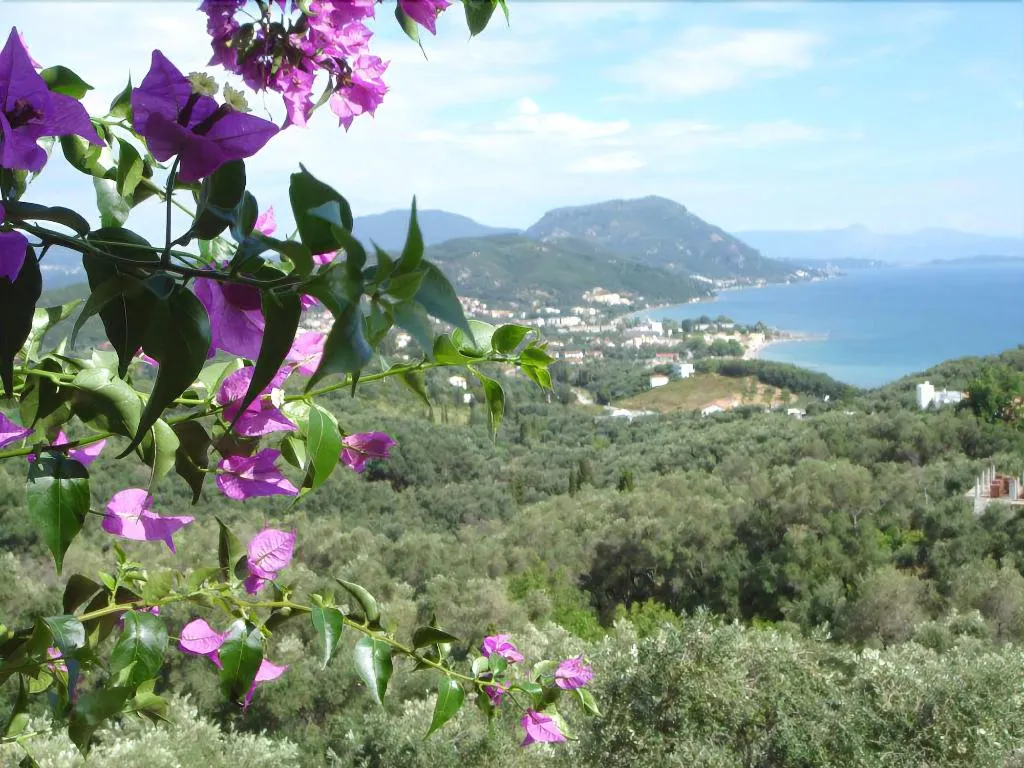 General view, 75 Steps Taverna And Accomodation, Corfu