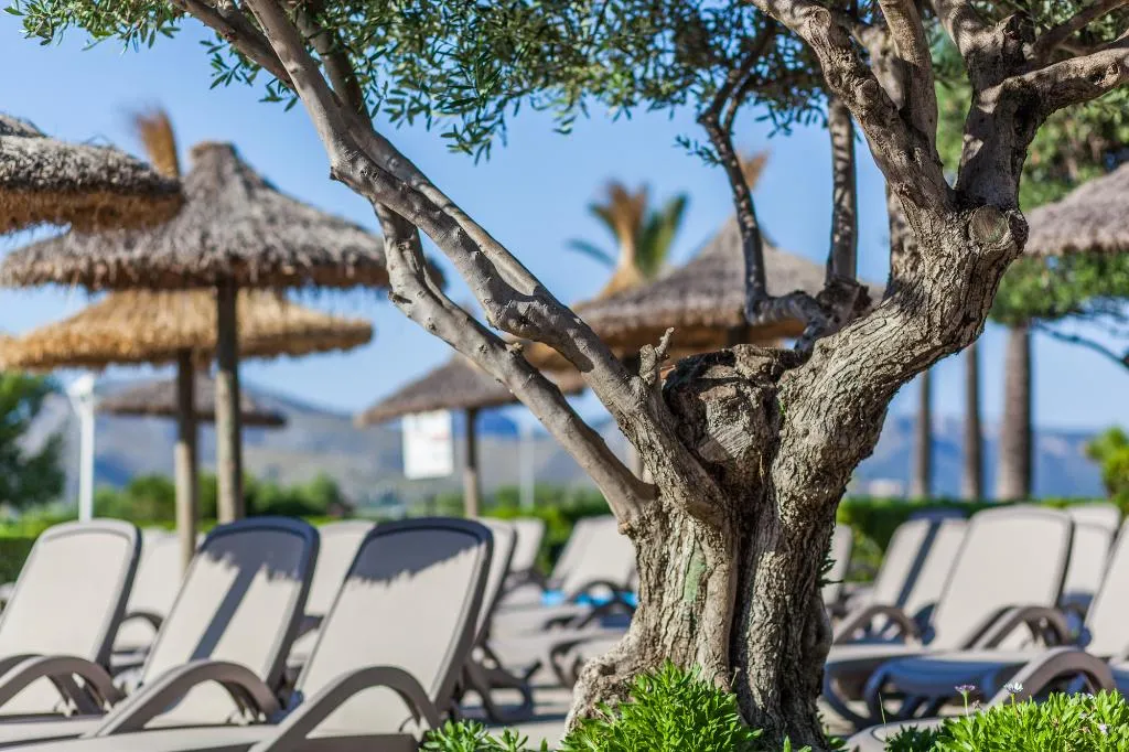 Terrace, Club del Sol & Spa, Majorca