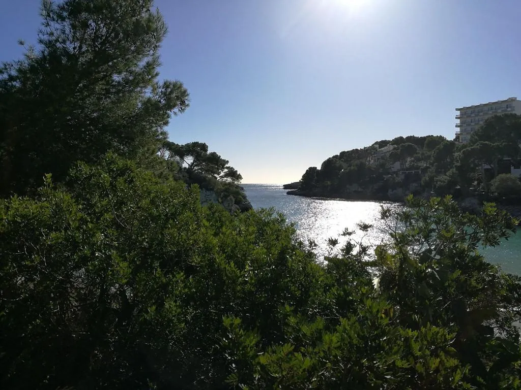 Beach, Cala Ferrera, Majorca