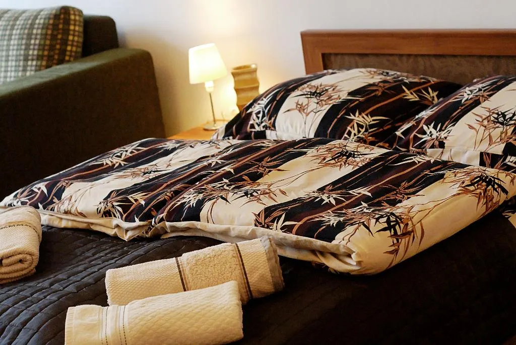 STUDIO CAPACITY 4 Room, P&J Tourist Apartments, Krakow