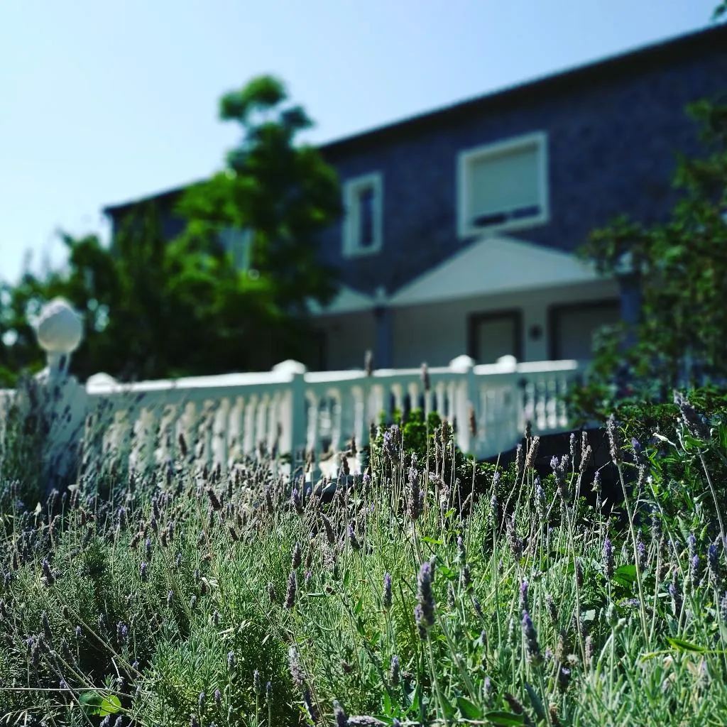General view, Villa Ignacia B&B, Costa Del Sol