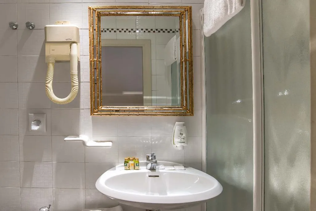 DOUBLE ECONOMY Room, Atlantic Palace, Florence