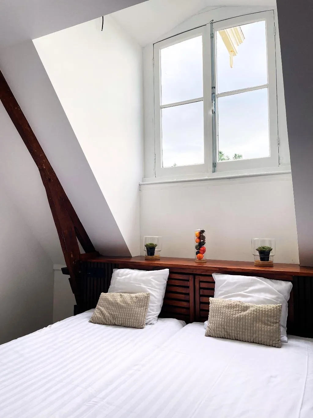 TWIN BASIC Room, Hotel Plantage, Amsterdam