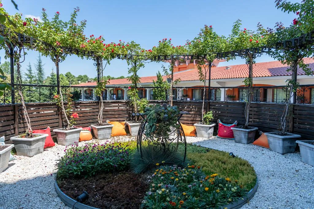 Terrace, Hrizantema, Bourgas