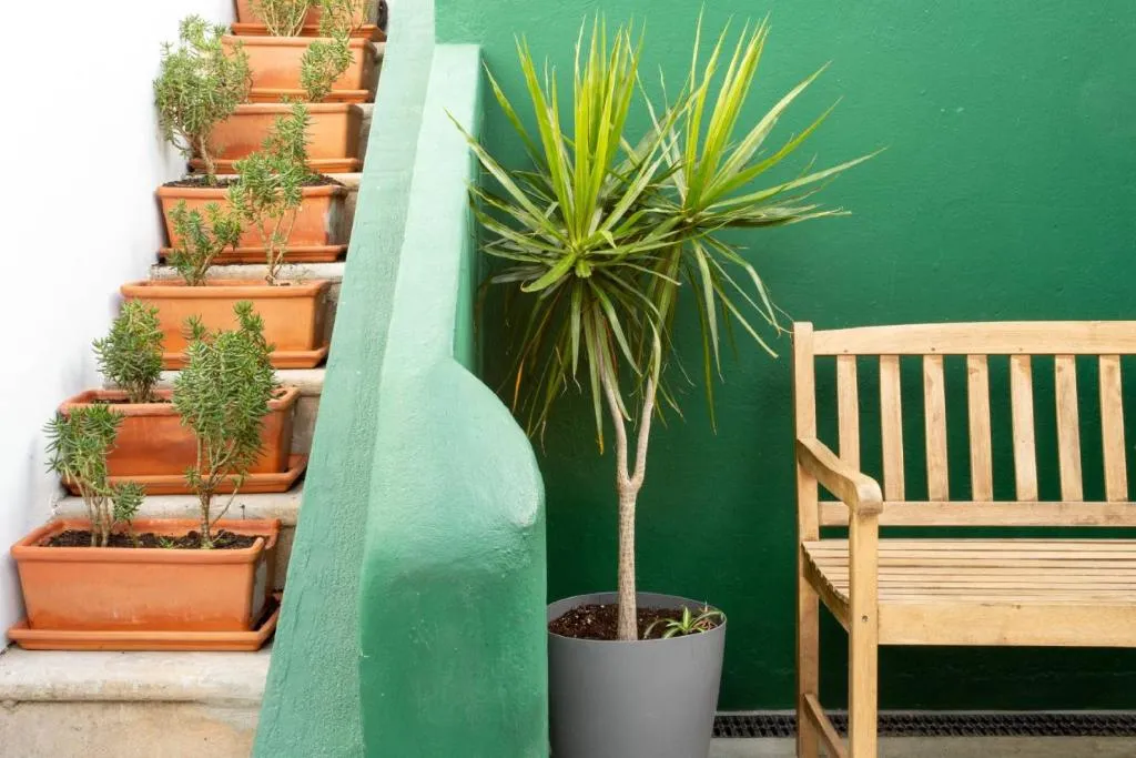 Lobby, Hostellicious, Algarve