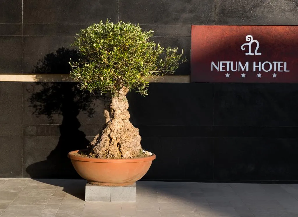 General view, Netum Hotel, Catania