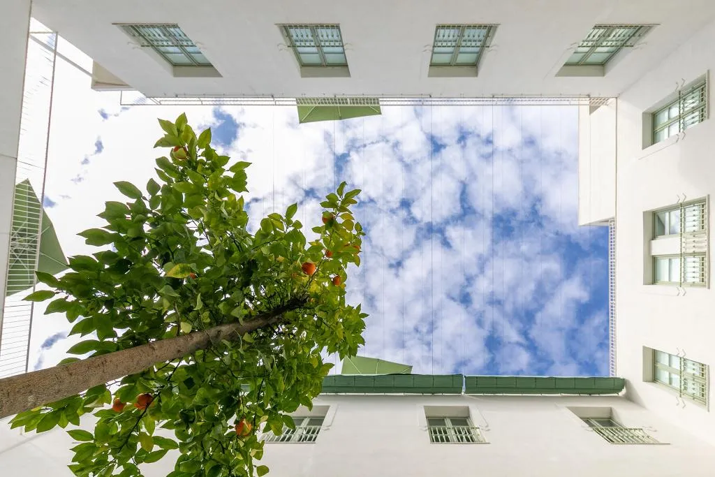 Terrace, Holiday Rentals Los Salados, Seville