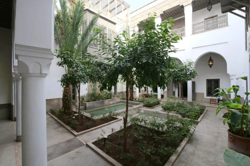 Terrace, Zaouia44, Marrakech