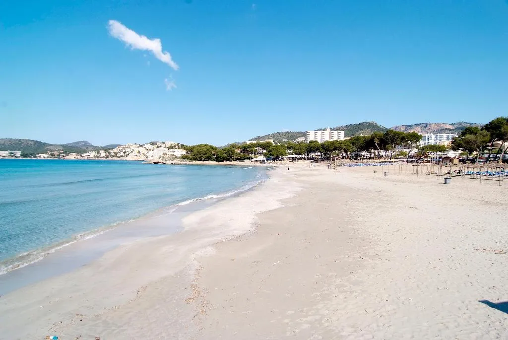 Beach, Aparthotel Novo Mar, Majorca