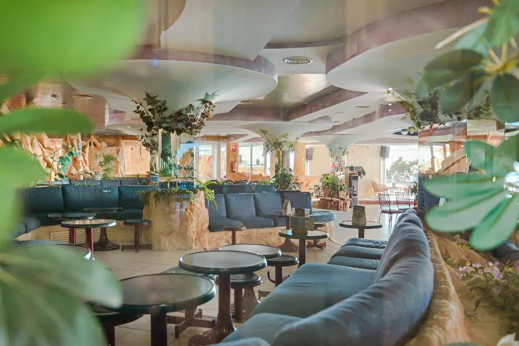 Bar, Benikaktus, Costa Blanca