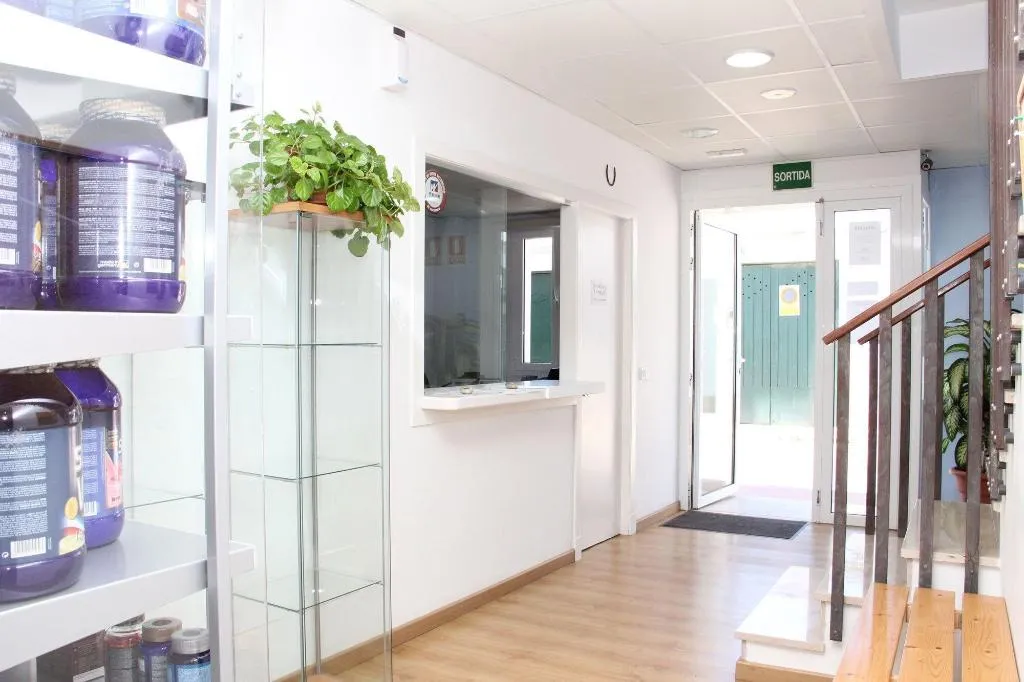Lobby, Hostel & Gym Relise, Menorca